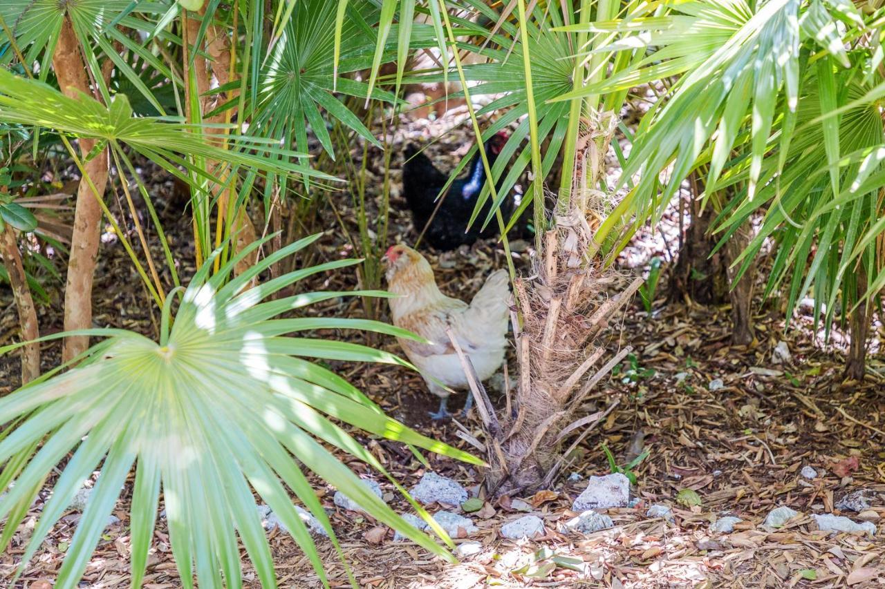 הוילה The Florida Keys Treehouse In Marathon, Fl מראה חיצוני תמונה