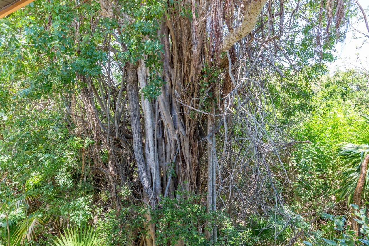 הוילה The Florida Keys Treehouse In Marathon, Fl מראה חיצוני תמונה